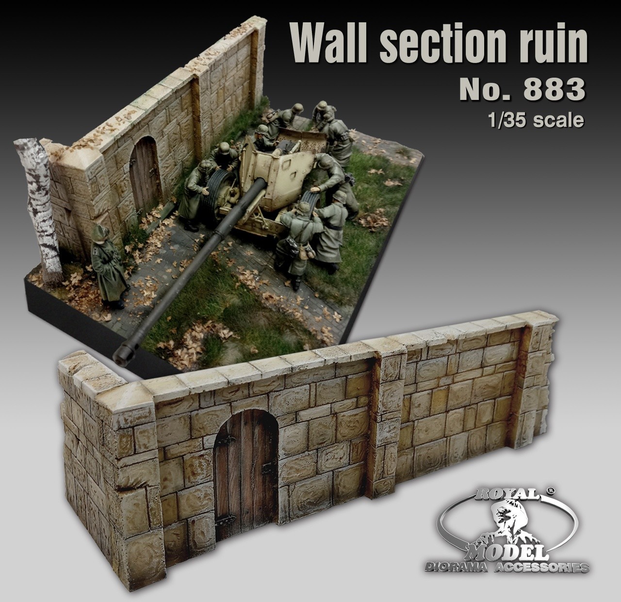 883  Wall Section Ruin