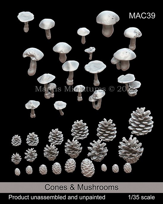 MAC39 Cones & Mushrooms