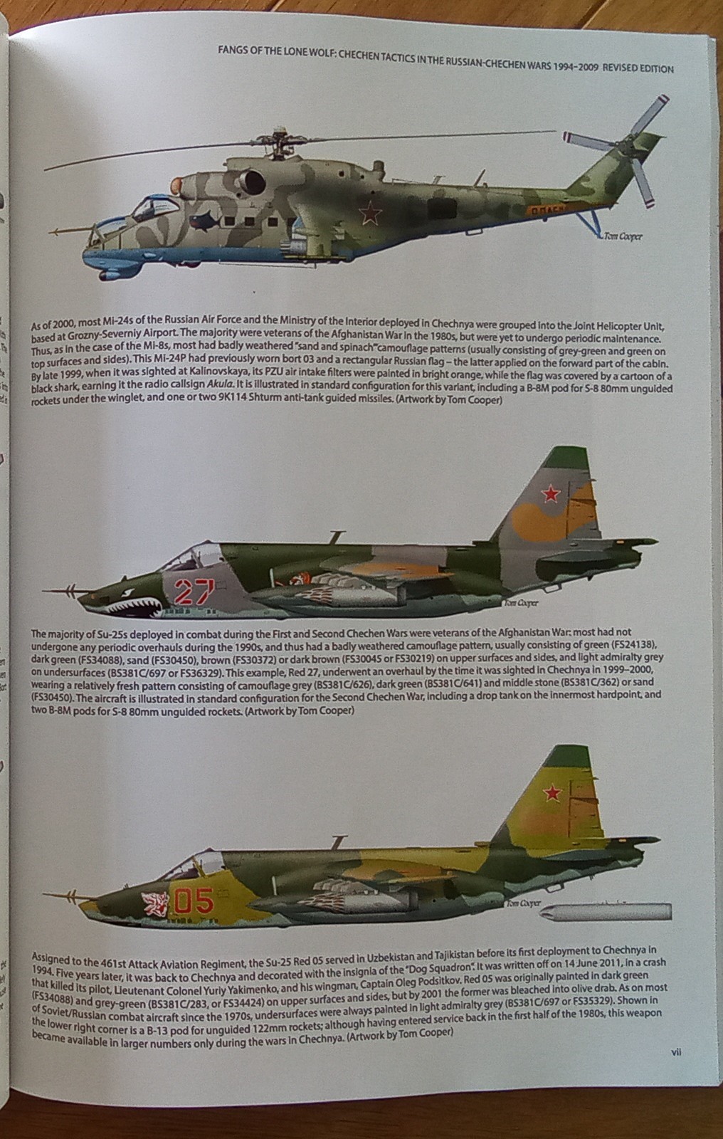 Colour profiles with the camo schemes explained and identified. Very most helpful.