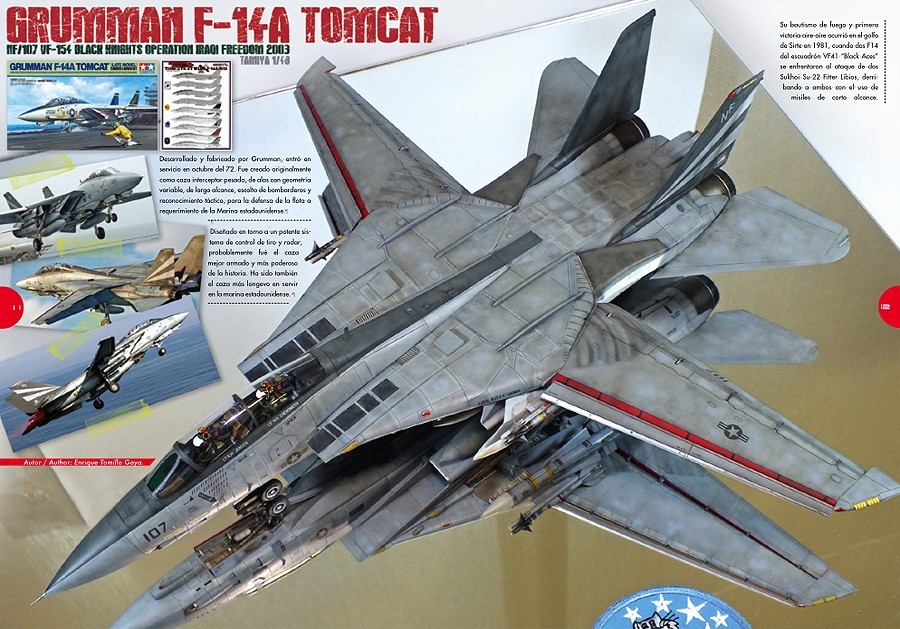 Tomcat VF154 Black Knights. Enrique Tomillo.