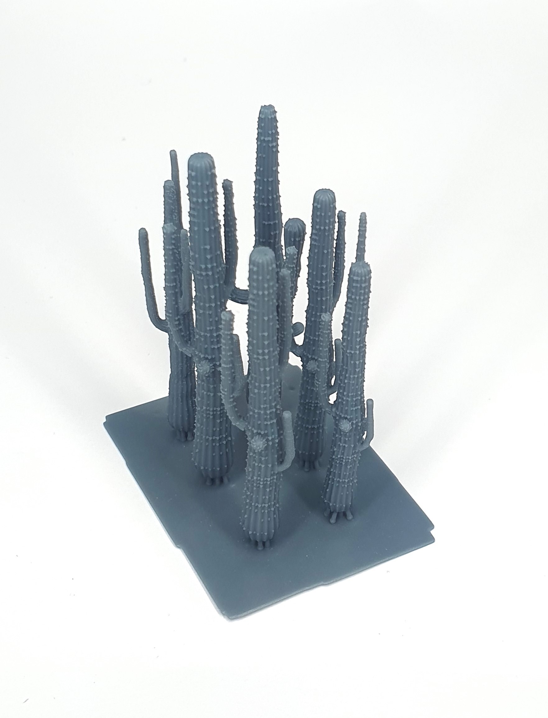 Cactus medium size set (long shape / 6 pcs)