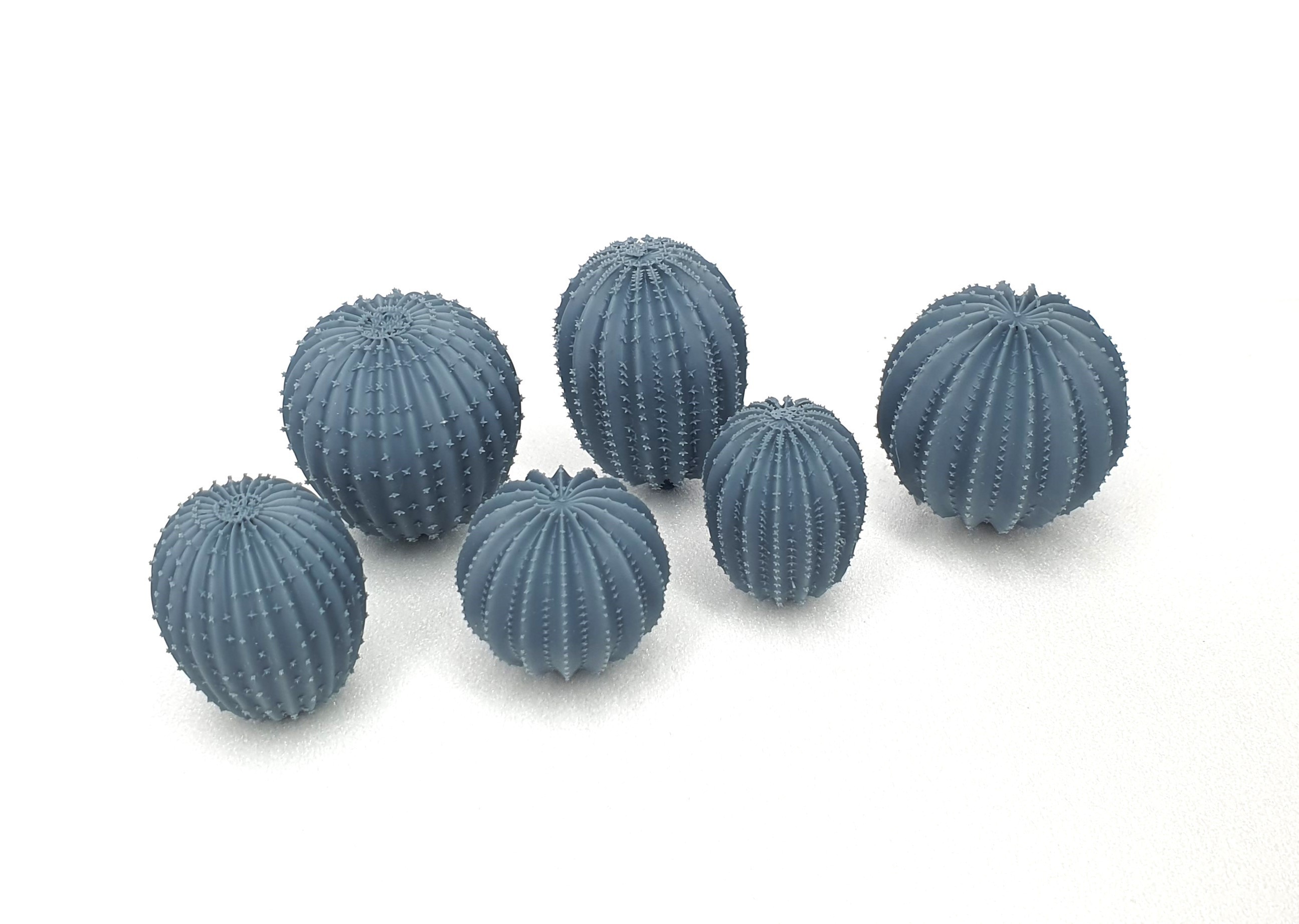 Cactus round shape set (6 pcs)