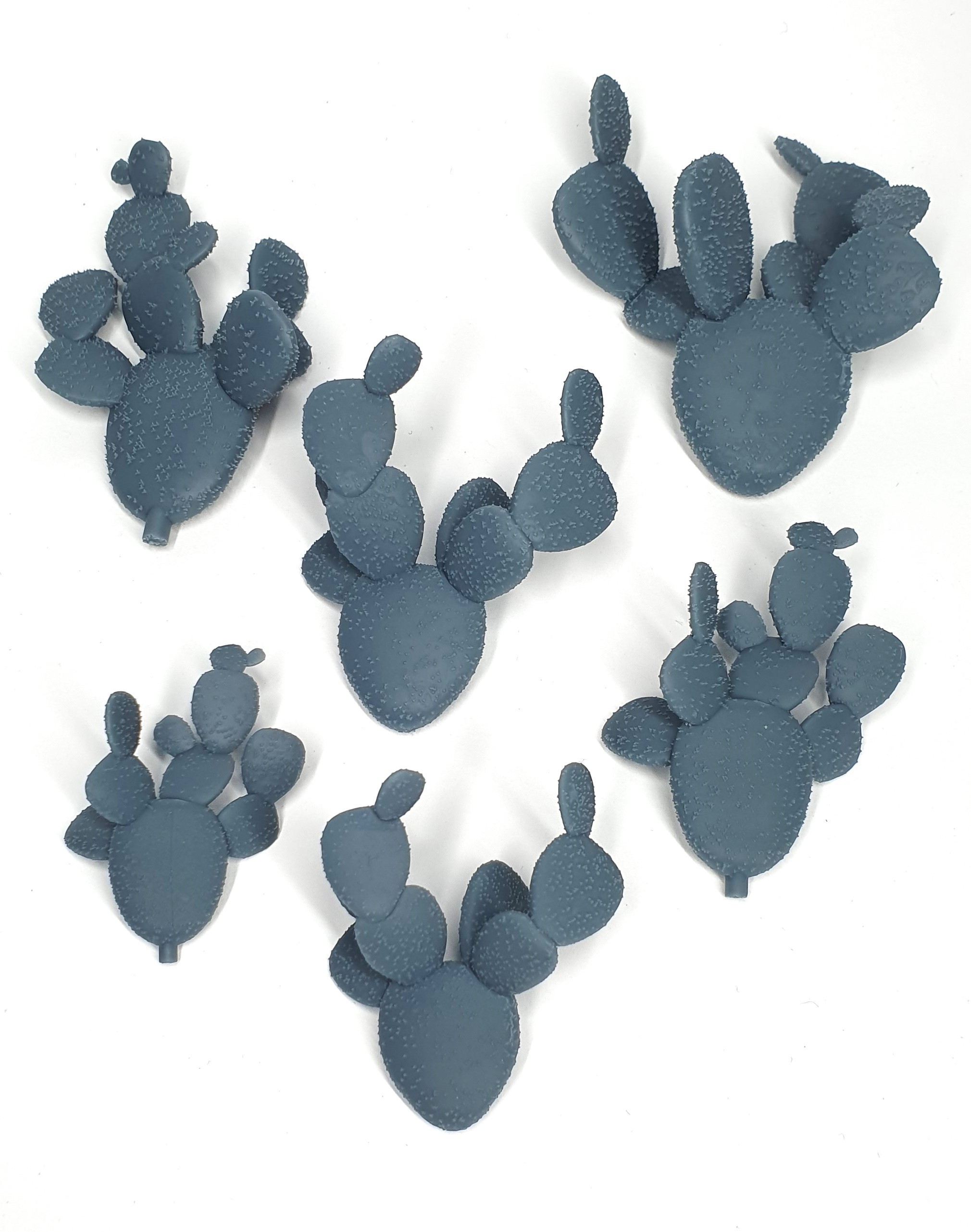 Cactus flat shape set (6 pcs)