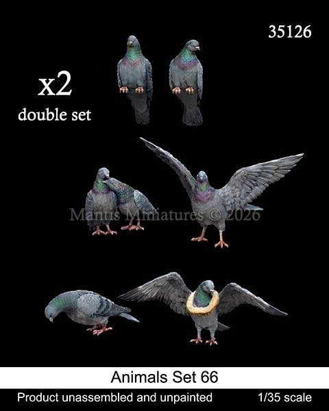 35216 Animals Set 66 (Pigeons, double set) 1/35