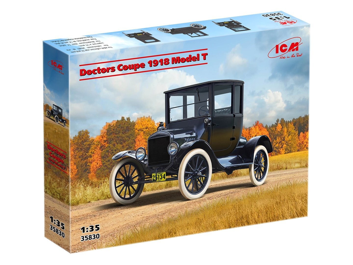 Doctors Coupe 1918 Model T