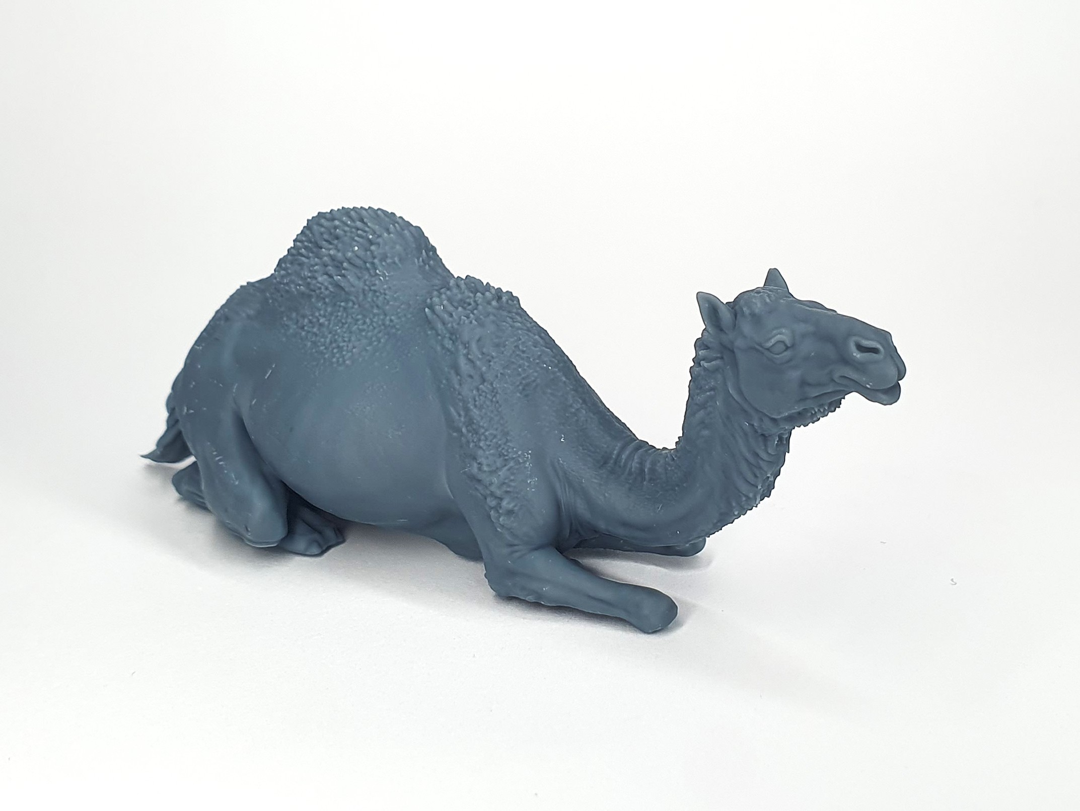 DIO-073 	  Sitting camel (Dromedary)