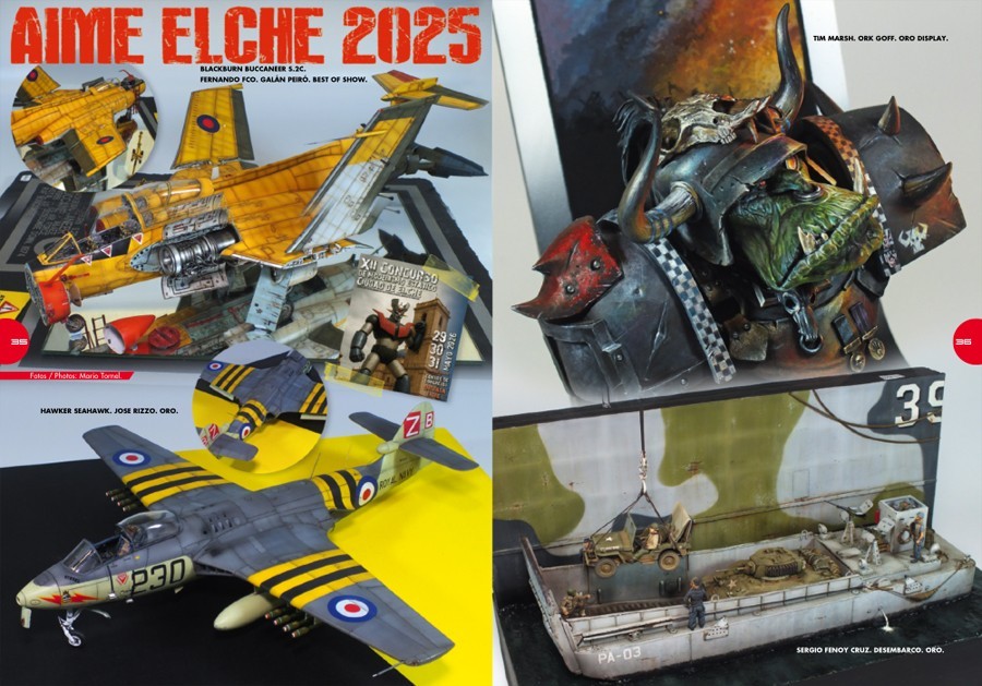 AIME - Elche Contest Report