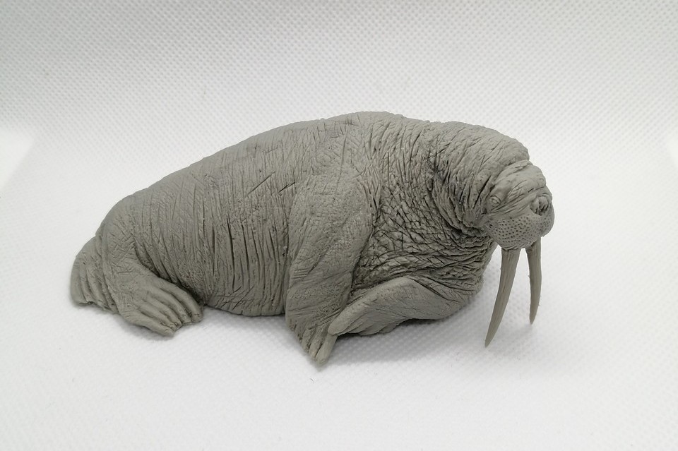 Cix Walrus and Gorillas