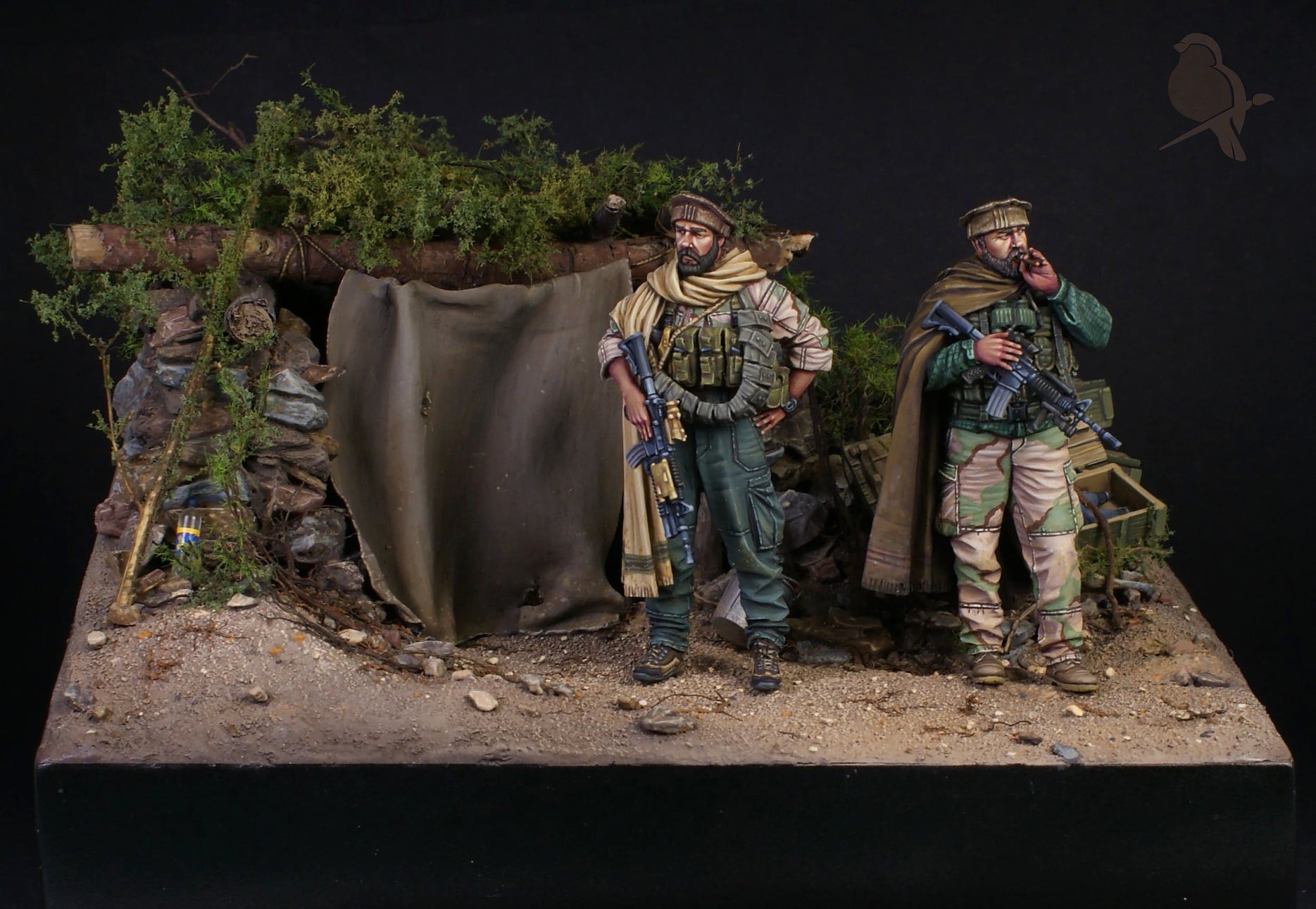 Tora Bora, 2001