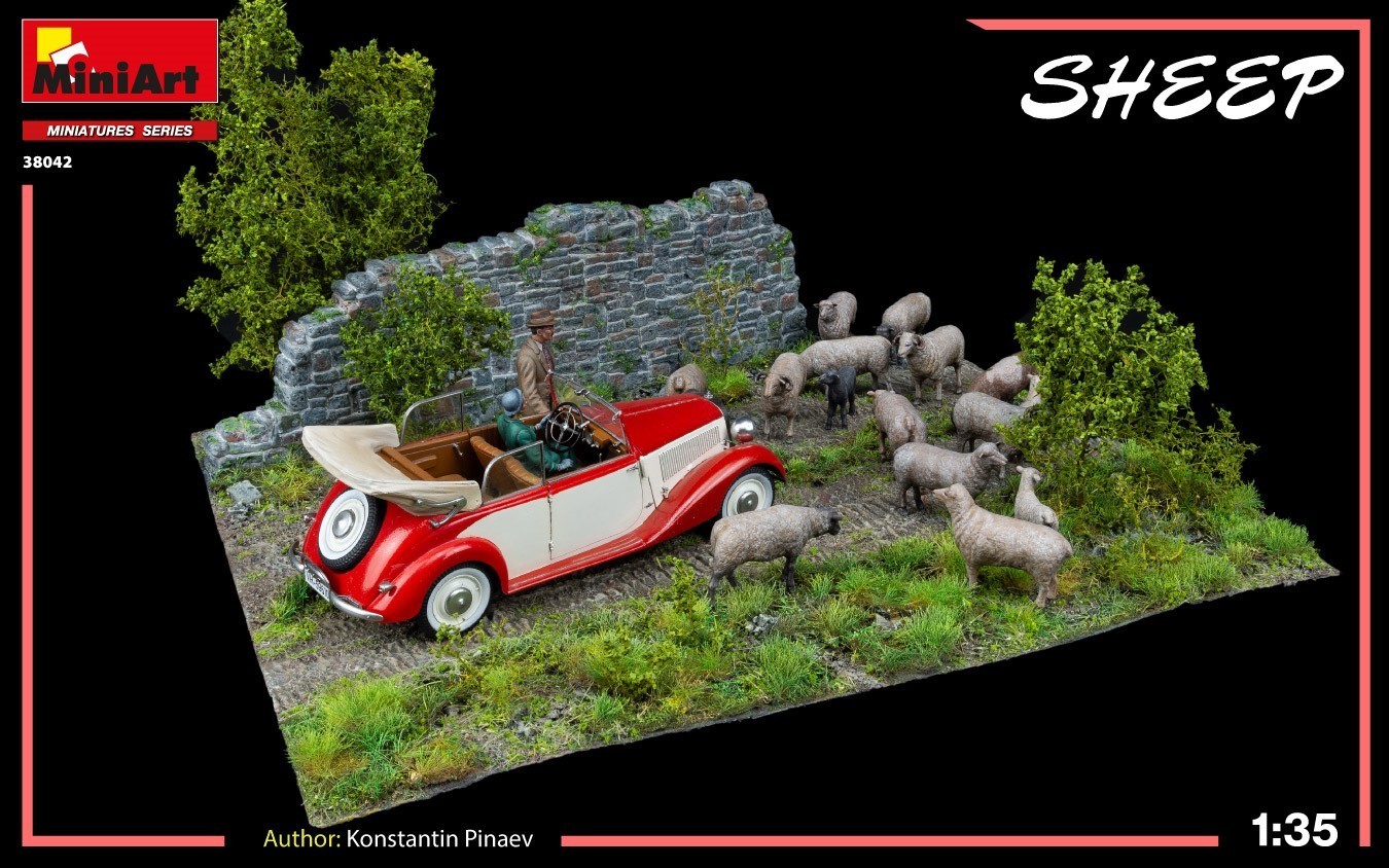 New Photos! SHEEP