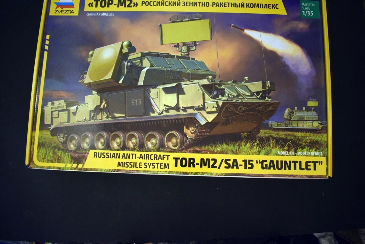 TOR-M2/ SA-15(Gauntlet)
