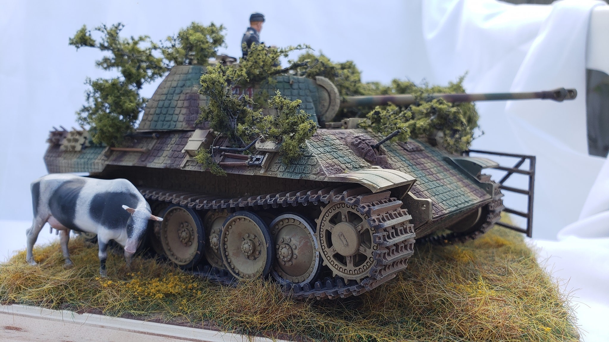 Panther A and a nosy cow, oh, and crow 'Inspirations' by Steve Jaglowski
