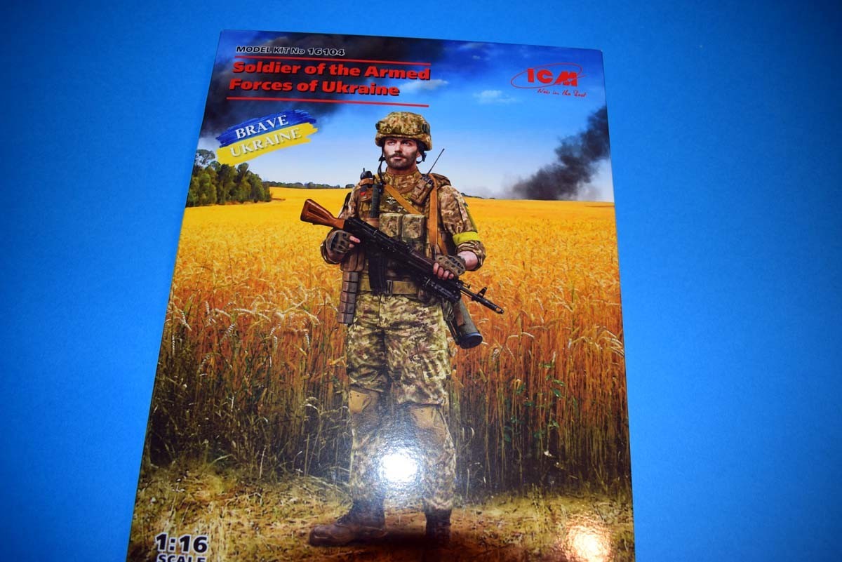 Soldier of the Armed Forces of Ukraine
