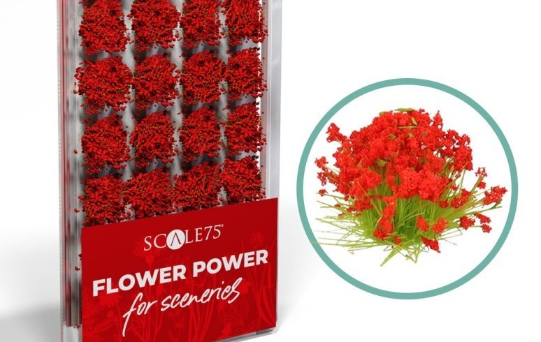 Scale75 Colour Flowers