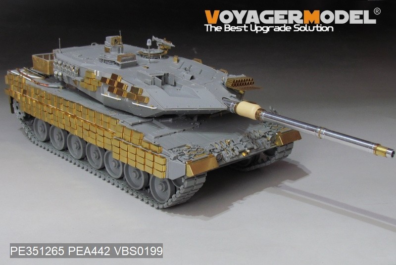 Voyager set for Ukrainian Leopard