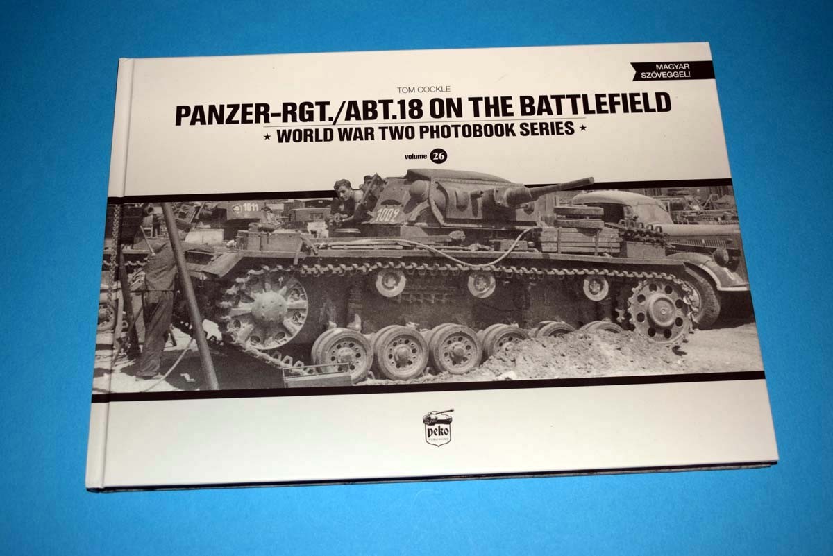 Panzer-RGT./ABT.18 On The Battlefield
