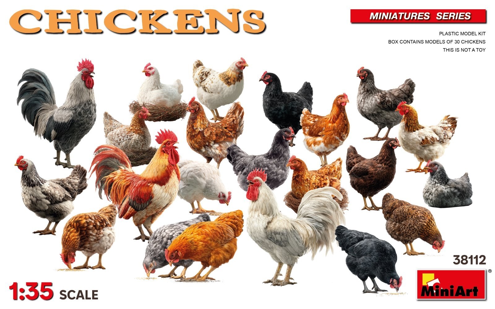 38112 CHICKENS