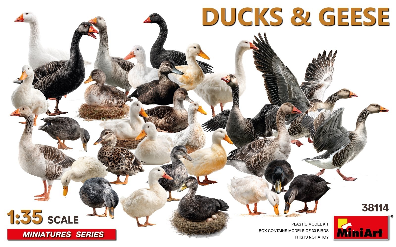 MiniArt 38114 DUCKS & GEESE