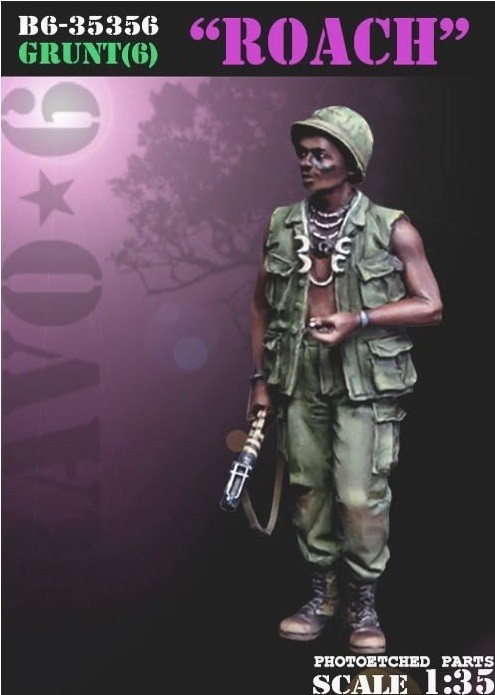 BRAVO*6 : Vietnam War Grunt (6) - Roach